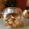 Porta velas cristal