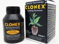 CLONEX ENRAIZANTE