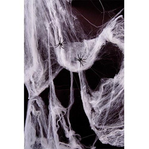 Telaraña con adornos